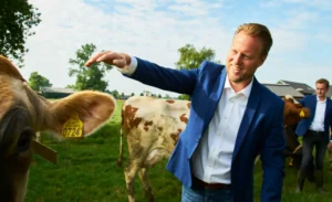 En mann i blå blazer strekker seg ut for å ta på en ku i en gressmark, kanskje inspirert av guden melk til kalven med GEA Kalveautomat. En annen mann går bak ham, med trær og flere kuer i det rolige landskapet.