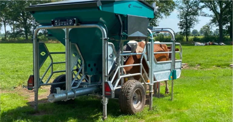 En mobil fôringsautomat for kyr står på et gresskledd område, omgitt av kyr som beiter.