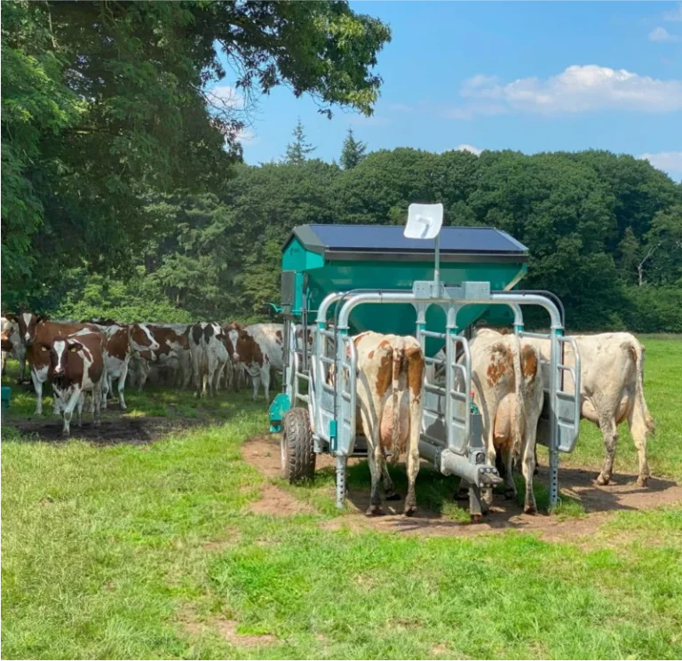 En gruppe kyr står nær og inne i en FeedingStation Mobil fra Hanskamp i en gressmark, og demonstrerer effektiv og fleksibel fôring i utmark med trær i bakgrunnen under en blå himmel.