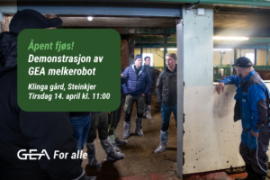En gruppe mennesker står inne i et fjøs i nærheten av kyr, og overværer en demonstrasjon av en Melkerobot fra GEA på Klinga gård. Detaljer om arrangementet vises på norsk.